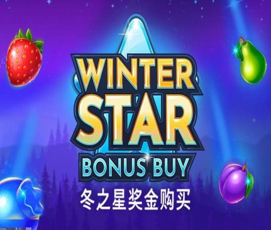停车驾驶高手